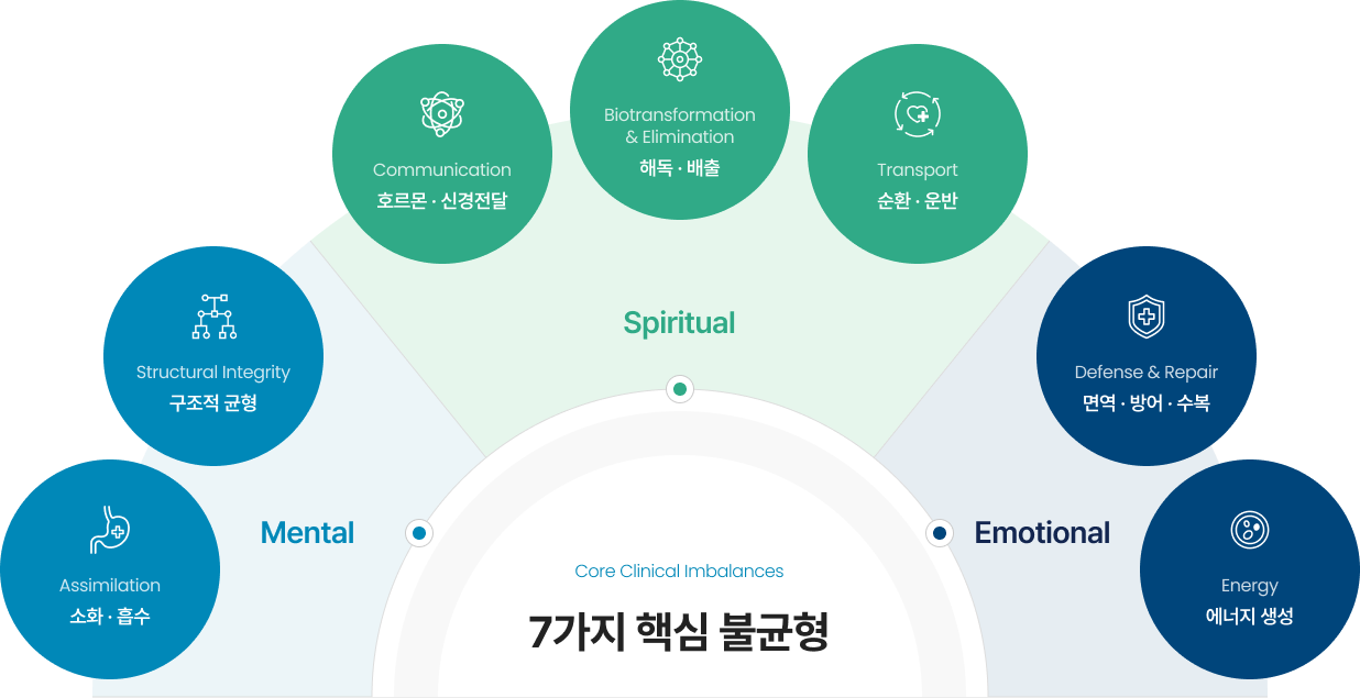 7가지 핵심 임상 불균형 다이어그램